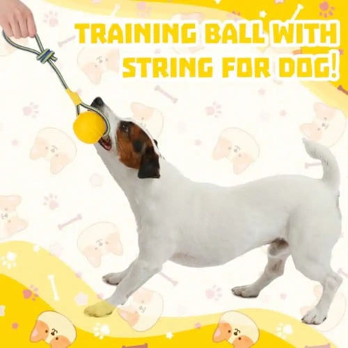 2 Pcs Medium Dog Ball On A Rope Rubber Dog Toy With Handle Ball Yellow Floats In Water For Tug Training Rewards Interactive Pet Fetch Catch Throw Outdoor Puppy Teething Medium Pet